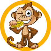 monkeys.com